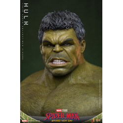 Figurine Hulk Movie Masterpiece Hot Toys Marvel