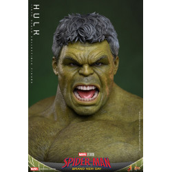 Figurine Hulk Movie Masterpiece Hot Toys Marvel