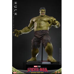 Figurine Hulk Movie Masterpiece Hot Toys Marvel