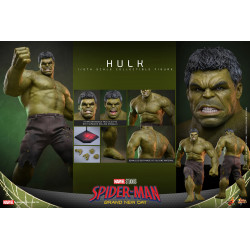 Figurine Hulk Movie Masterpiece Hot Toys Marvel