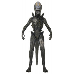 Figurine Wendy's Xenomorph Ultimate Neca Alien Earth
