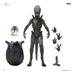 Figurine Wendy's Xenomorph Ultimate Neca Alien Earth