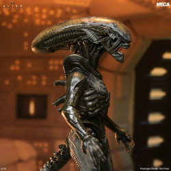 Figurine Wendy's Xenomorph Ultimate Neca Alien Earth