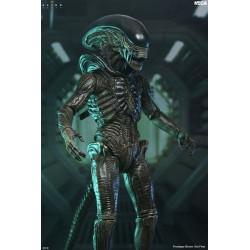 Figurine Xenomorph Ultimate Neca Alien Earth