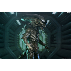 Figurine Xenomorph Ultimate Neca Alien Earth