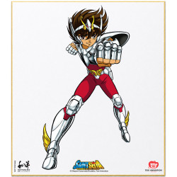 Boîte à Musique Saint Seiya Wayô Records Saint Seiya