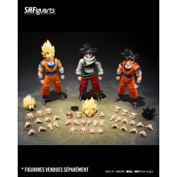 S.H. Figuarts Son Goku's Return to Earth Bandai Dragon Ball Z