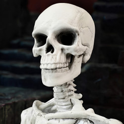 Figurine Epic Skeleton Blank Bleached Remnants Boss Fight Studio Vitruvian H.A.C.K.S