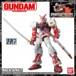  GUNDAM High Grade Gundam Astray Red Frame Bandai Gunpla