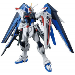 GUNDAM Master Grade Freedom Gundam Z.A.F.T Mobile Suit ZGMF-X10A Bandai Gunpla