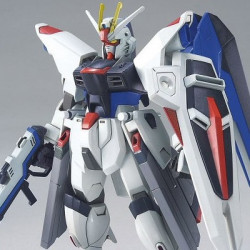 GUNDAM High Grade R15 Freedom Gundam Bandai Gunpla