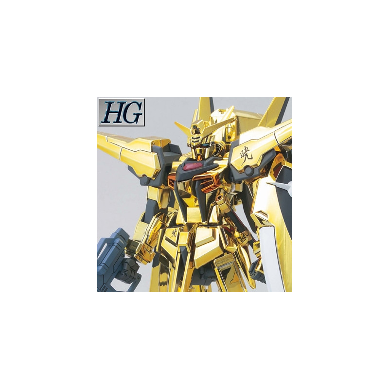 GUNDAM High Grade Oowashi Akatsuki Gundam Bandai Gunpla