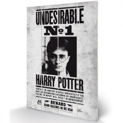 HARRY POTTER Poster sur bois Undesirable N°1 Pyramid