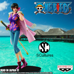  ONE PIECE figurine Tashigi SCultures Big Zoukeio Banpresto