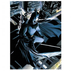 DC COMICS Poster en verre Batman SD Toys