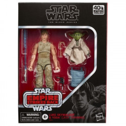 STAR WARS Black Series Pack Luke & Yoda Jedi Training Hasbro