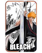 Bleach